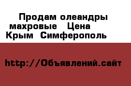 Продам олеандры махровые › Цена ­ 300 - Крым, Симферополь  »    